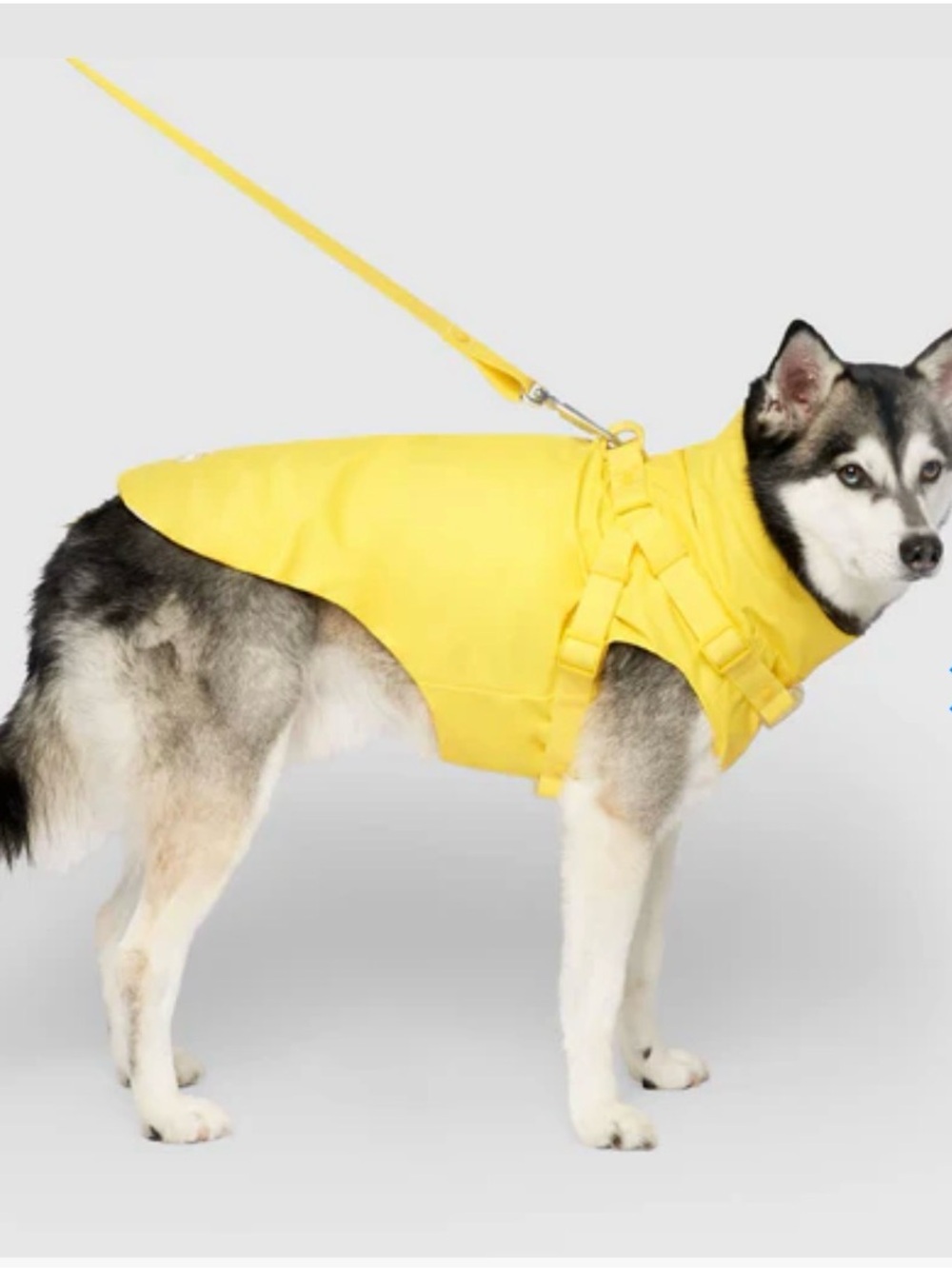 CANADA POOCH Yellow Waterproof Dog Raincoat